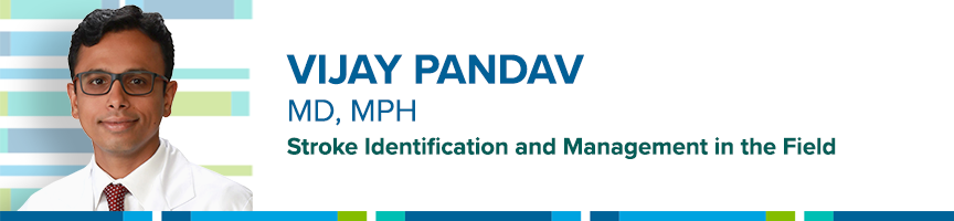 Vijay Pandav, MD, MPH